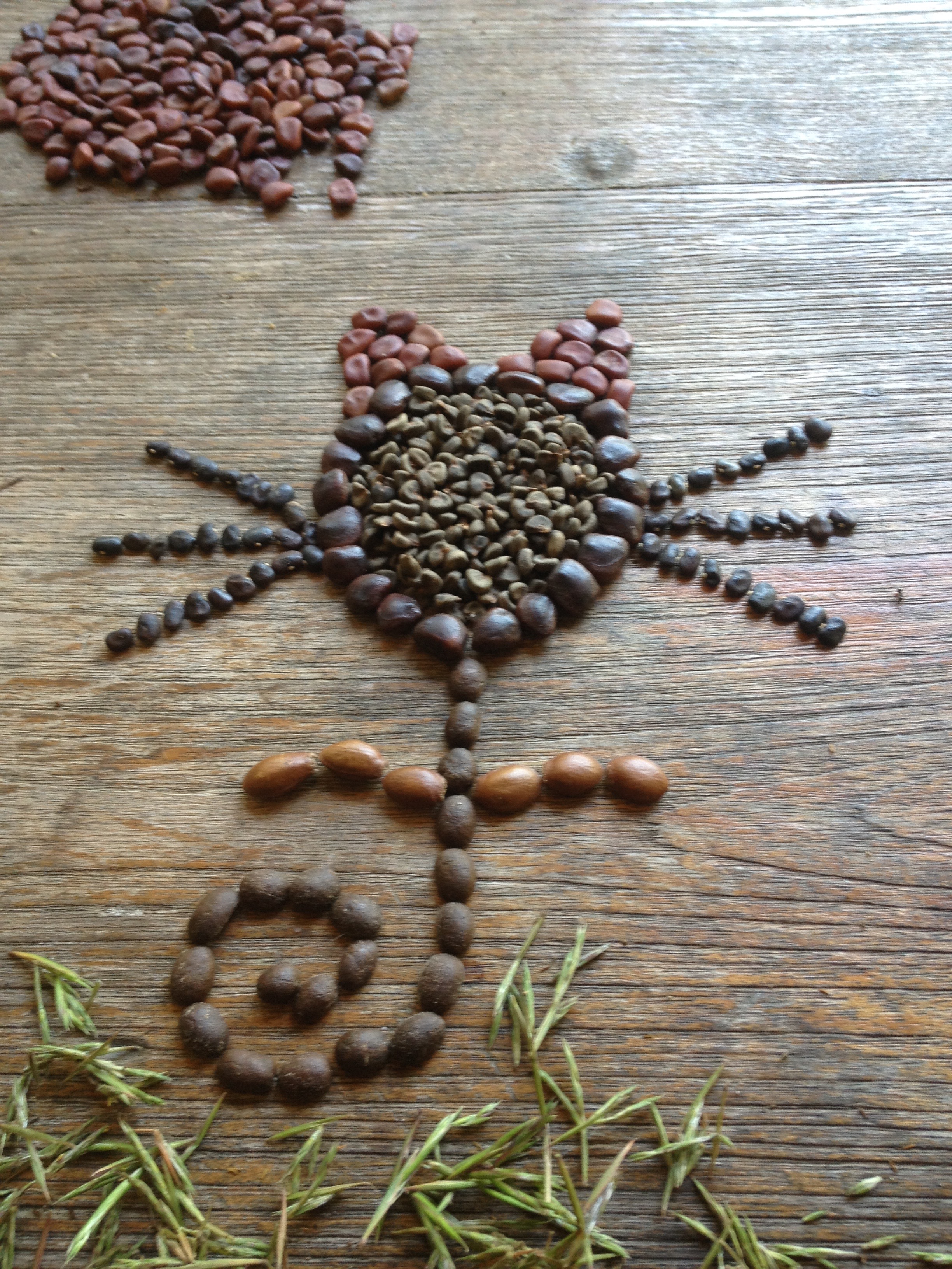 Cat Flower (revised)